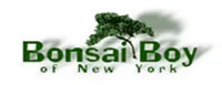 Bonsai Boy of New York